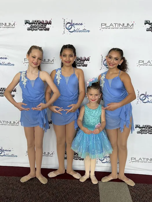 The Dance Room Picture 8