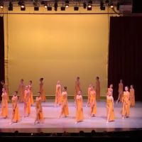 Academy of Ballet Arts Inc ico