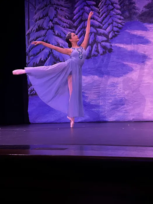 School of Dance Arts Picture 3