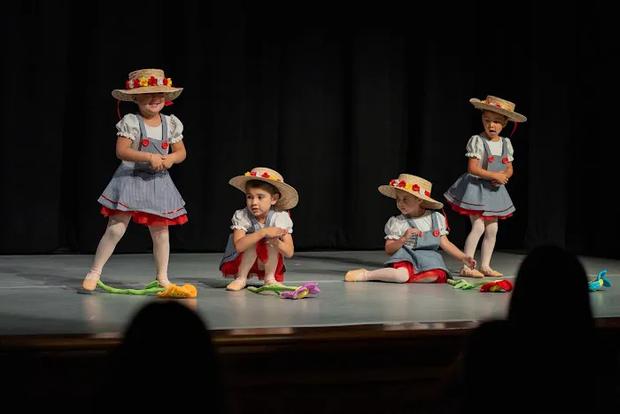 School of Dance Arts Picture 6