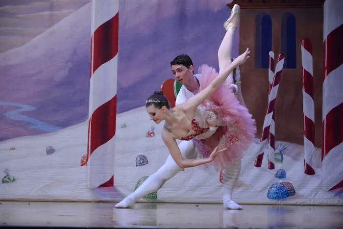 School of Dance Arts Picture 4