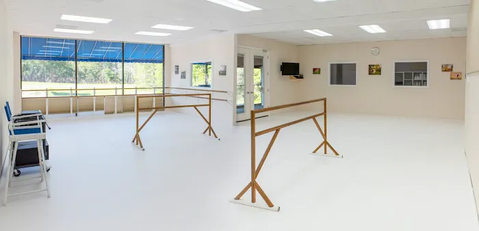 School of Dance Arts Picture 1
