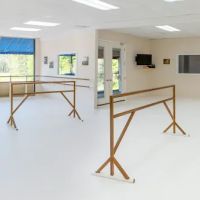 School of Dance Arts ico
