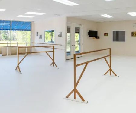 School of Dance Arts
