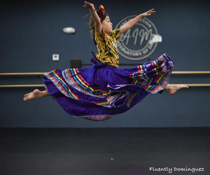 Art in Motion Conservatory of Dance Picture 6