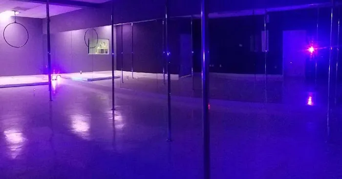 Iron X Fitness (Pole) Picture 5