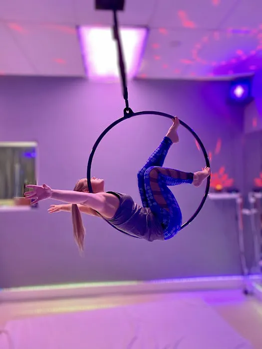 Iron X Fitness (Pole) Picture 1
