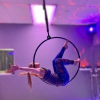 Iron X Fitness (Pole) ico