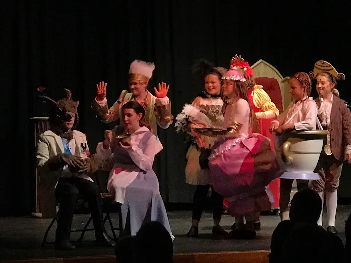 St. Pete Music, Acting, and Dance (MAD) Picture 1