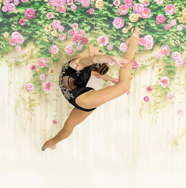 Mystical's Dance Company Picture 6