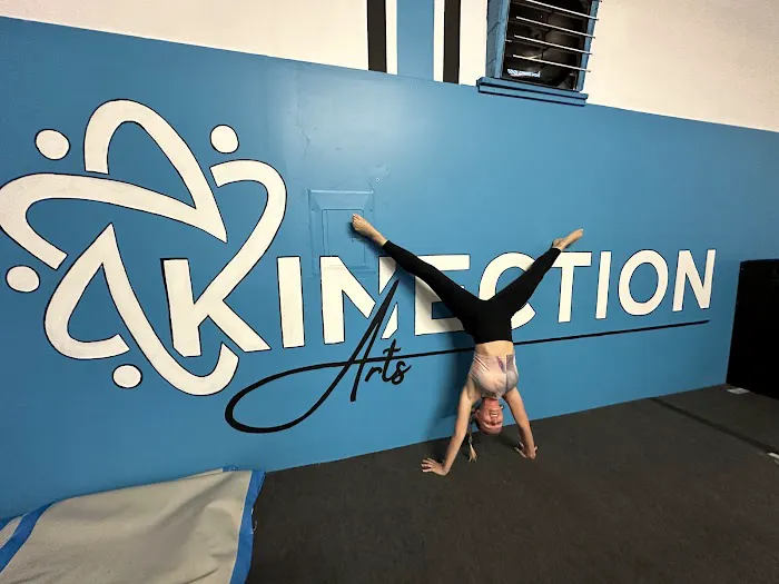 Kinection Arts Gym Picture 2