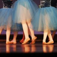 Hanken School of Dance ico