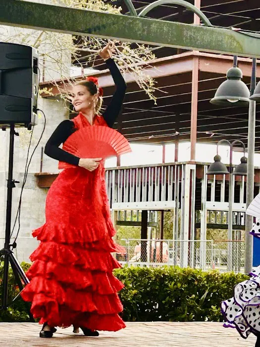 Flamenca Dance Studio Picture 4