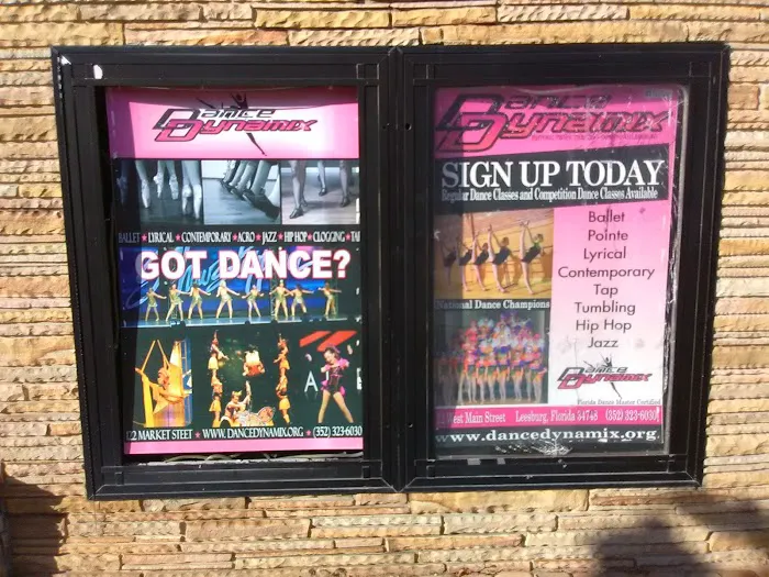 Dance Dynamix Picture 2