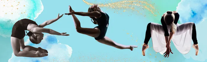 The Dance Company of Ocala, LLC Picture 4