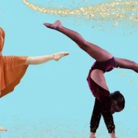 The Dance Company of Ocala, LLC ico