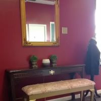 Mt Dora School of Ballet ico
