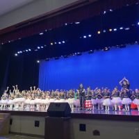Hozanna Ballet & Dance Academy Inc ico
