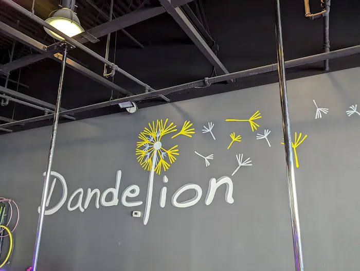 Dandelion Picture 2