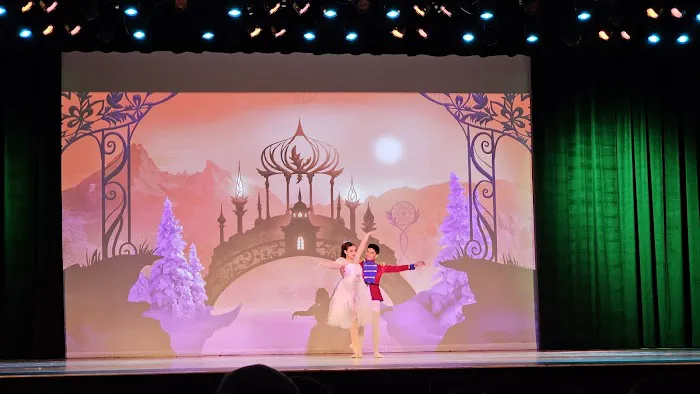 Orlando Dance Conservatory Picture 7