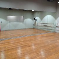 Tempo Dance Academy ico