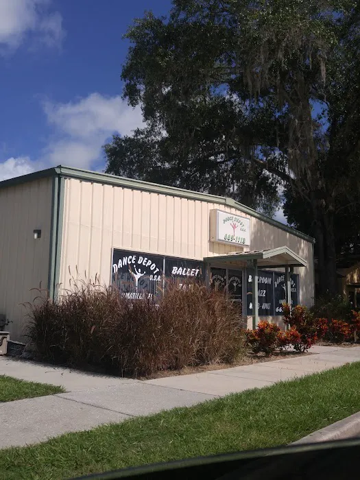 Dance Depot USA, Inc. Picture 2