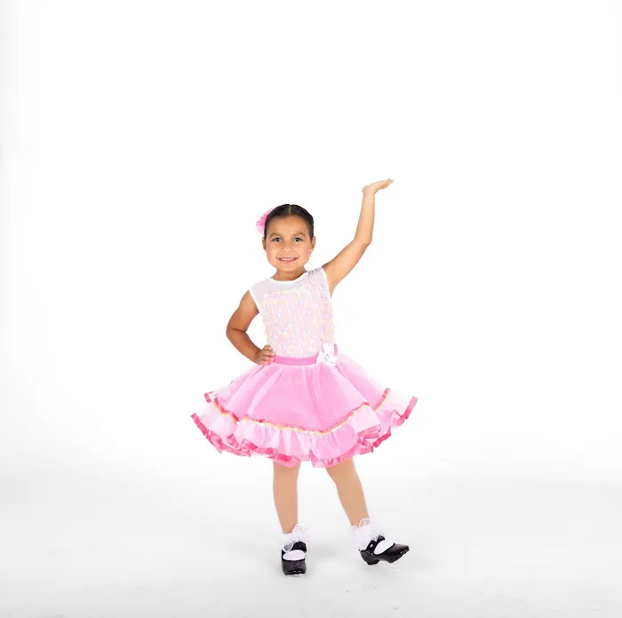 The Dance Company Picture 2