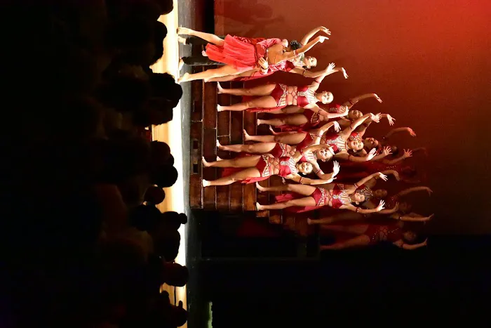 Shooting Stars Dance School Clermont Picture 3