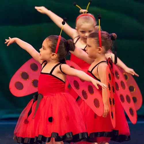 Doxa Dance Studio Inc Picture 5