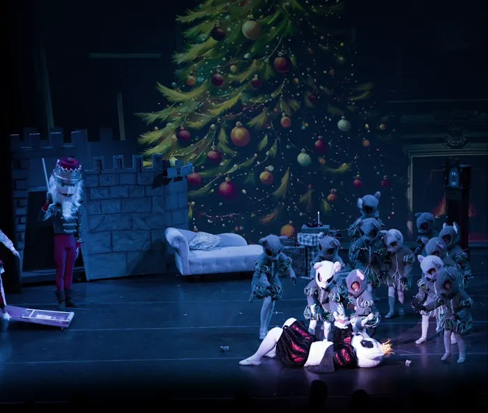 Orlando Metropolitan Ballet Academy Picture 2