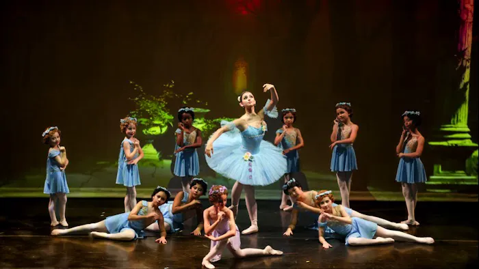 Orlando Metropolitan Ballet Academy Picture 1