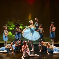 Orlando Metropolitan Ballet Academy ico