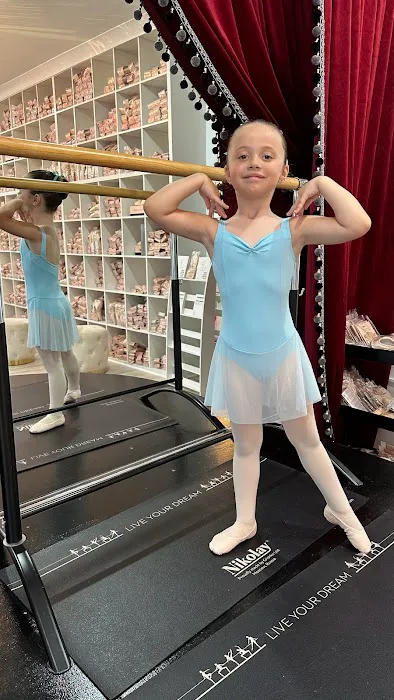Orlando Metropolitan Ballet Academy Picture 4