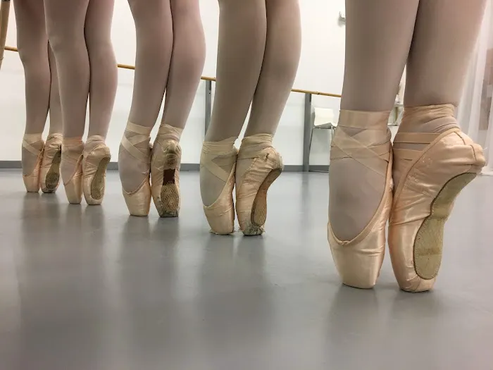 Orlando Metropolitan Ballet Academy Picture 5