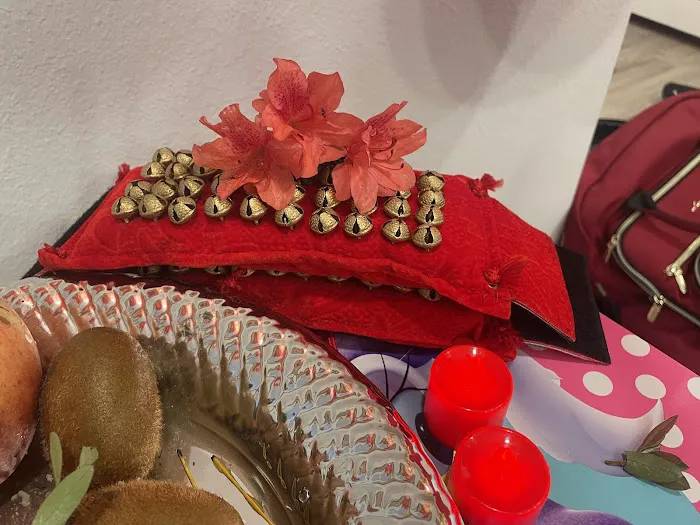 Raja Rani Laxmi Kala Sangam Institute of Dance Kissimmee Picture 3