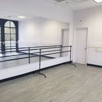 White Swan Academy ico