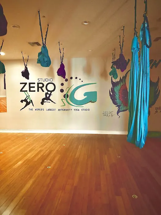 Studio Zero G Picture 1