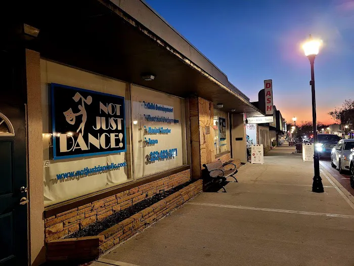 Not Just Dance LLC Picture 6