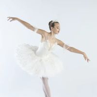 Stone Dance Academy ico