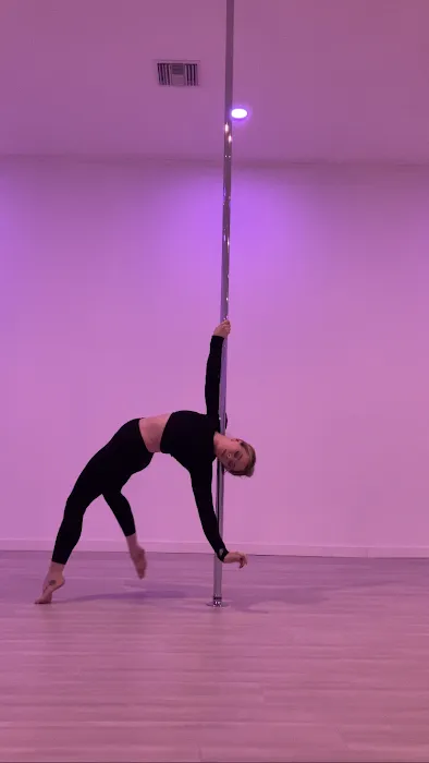 The Wild Sky Pole Dance Studio Picture 10