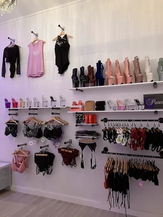 The Wild Sky Pole Dance Studio Picture 3