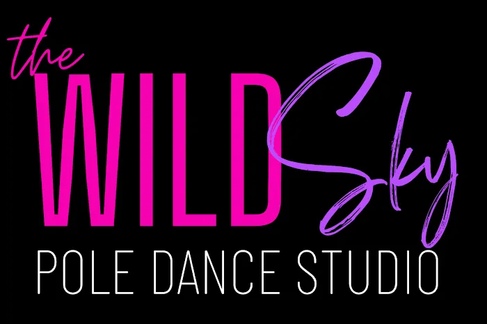 The Wild Sky Pole Dance Studio Picture 7