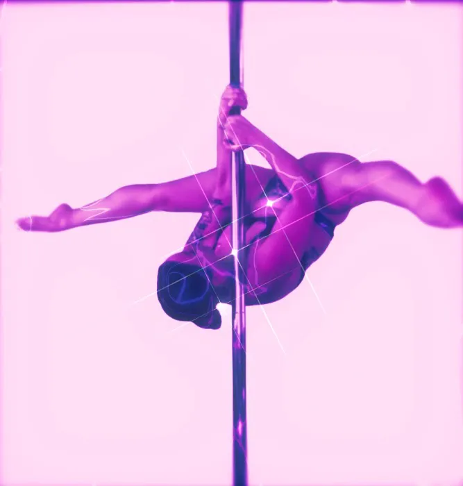 The Wild Sky Pole Dance Studio Picture 8