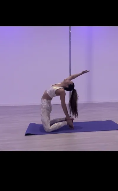 The Wild Sky Pole Dance Studio Picture 4