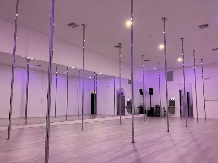 The Wild Sky Pole Dance Studio Picture 5