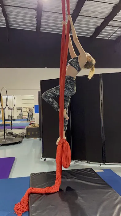 Gainesville Circus Center Picture 1