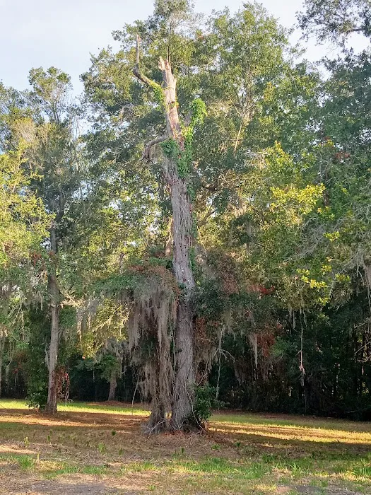 Gainesville Circus Center Picture 10