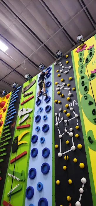 Sun Country Sports Center - West Picture 4