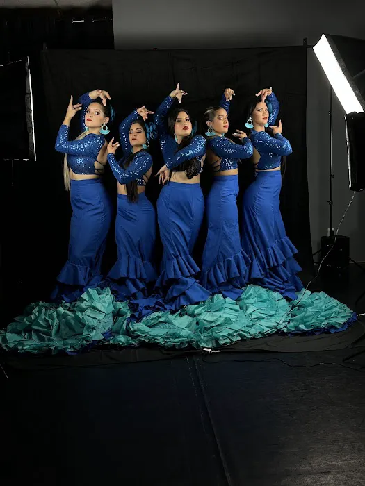 THE DANCER DANCE STUDIO Picture 5
