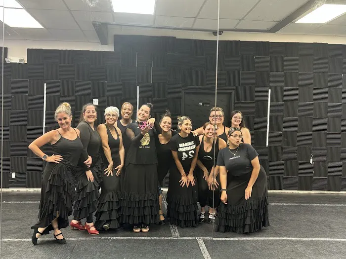 THE DANCER DANCE STUDIO Picture 1